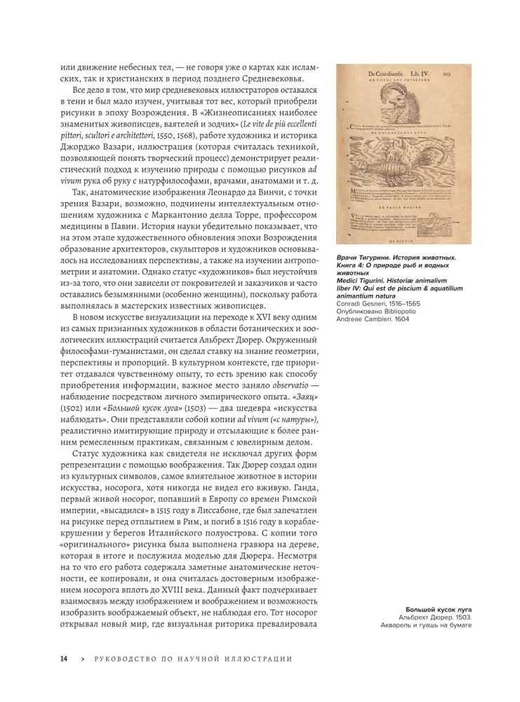 Profession - Scientific Illustrator. Guide to Illustration in Biology, Archaeology and Paleoart